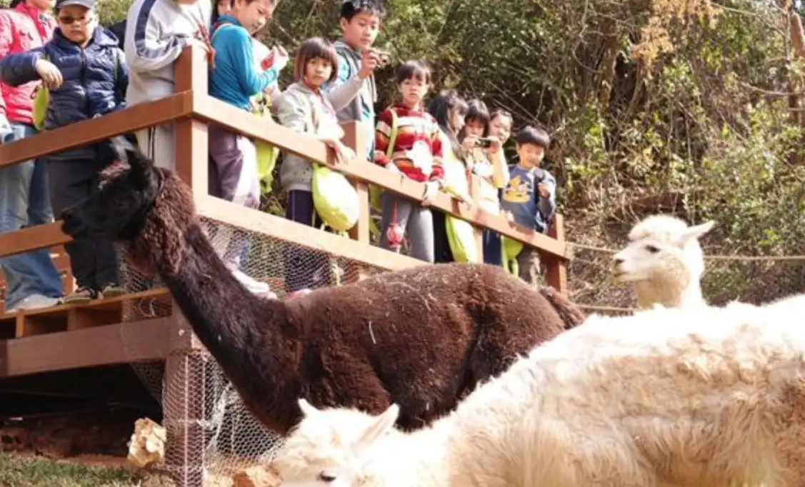 壽山動物園交通