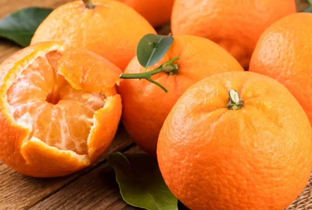 橘子營養價值