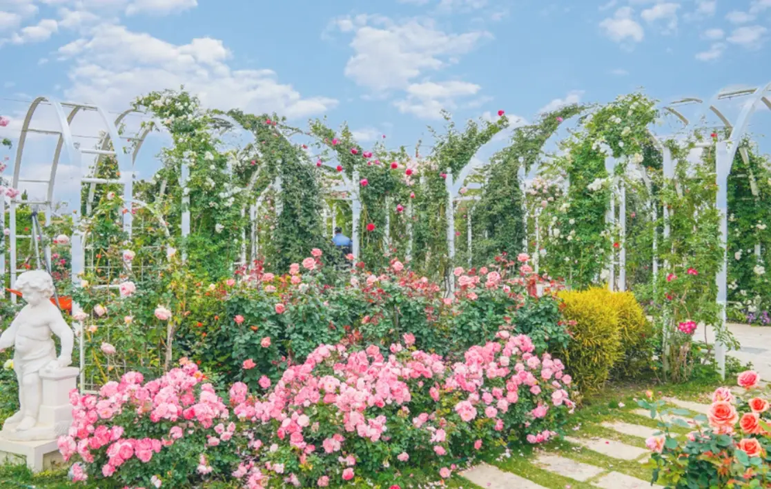 療癒森林附近景點