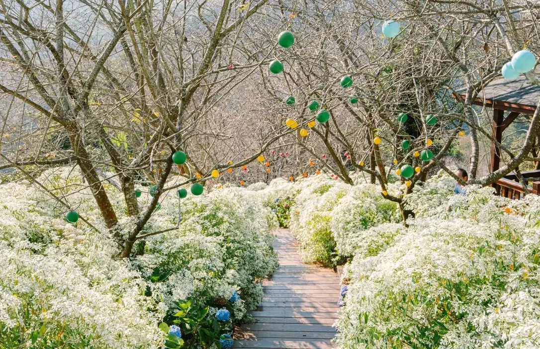 沐心泉休閒農場