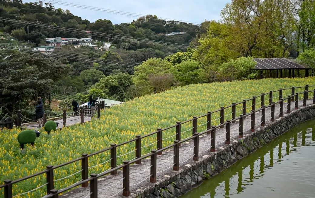 貓空一日遊