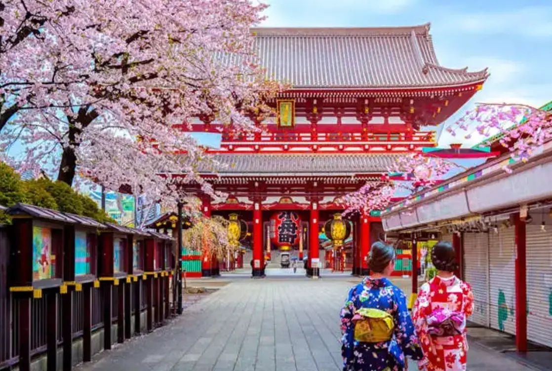 東京一日遊包車價格