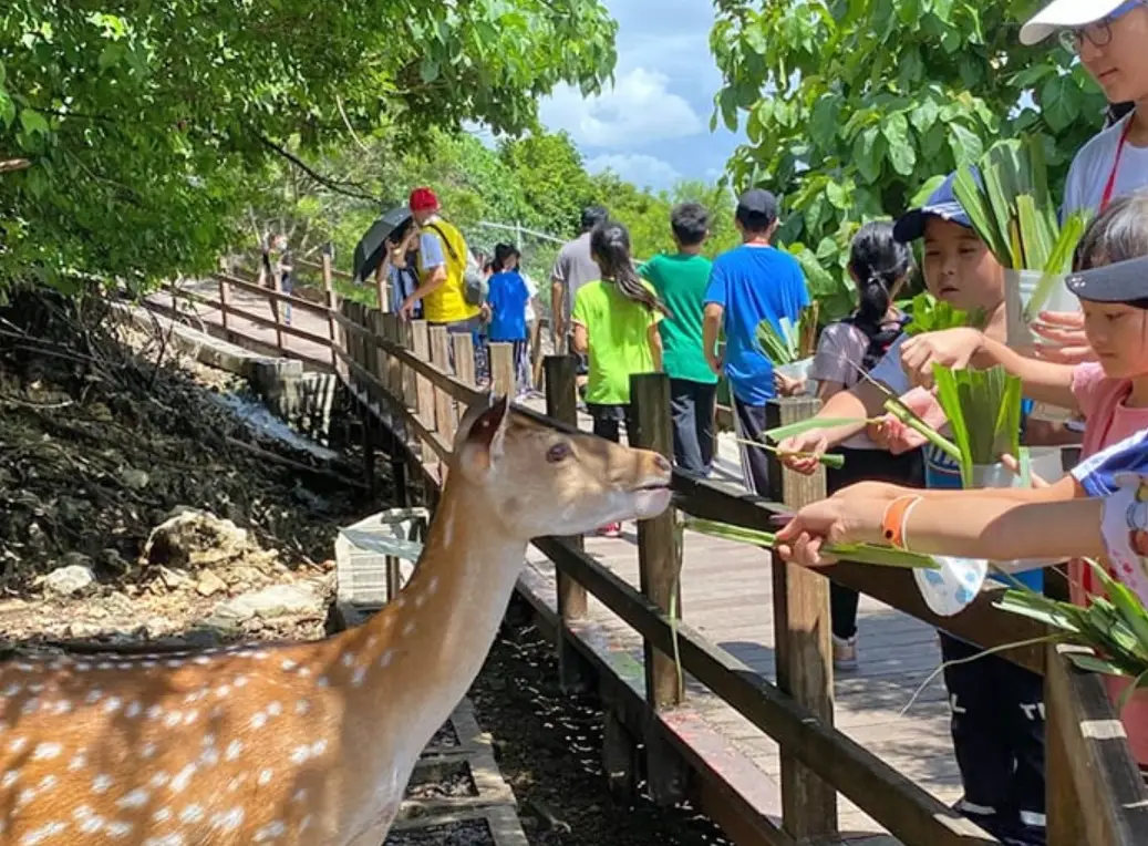 壽山動物園行程規劃 壽山動物園行程規劃