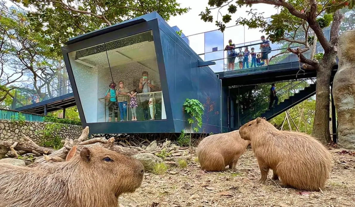 高雄壽山動物園攻略 高雄壽山動物園攻略