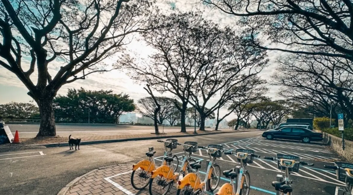 高雄動物園交通 高雄動物園交通