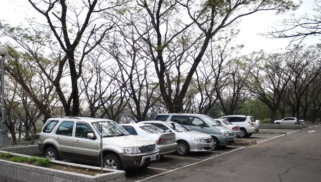 壽山動物園停車位 壽山動物園停車位