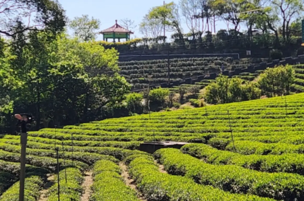 大北坑休閒農業區 好玩嗎 大北坑休閒農業區 好玩嗎