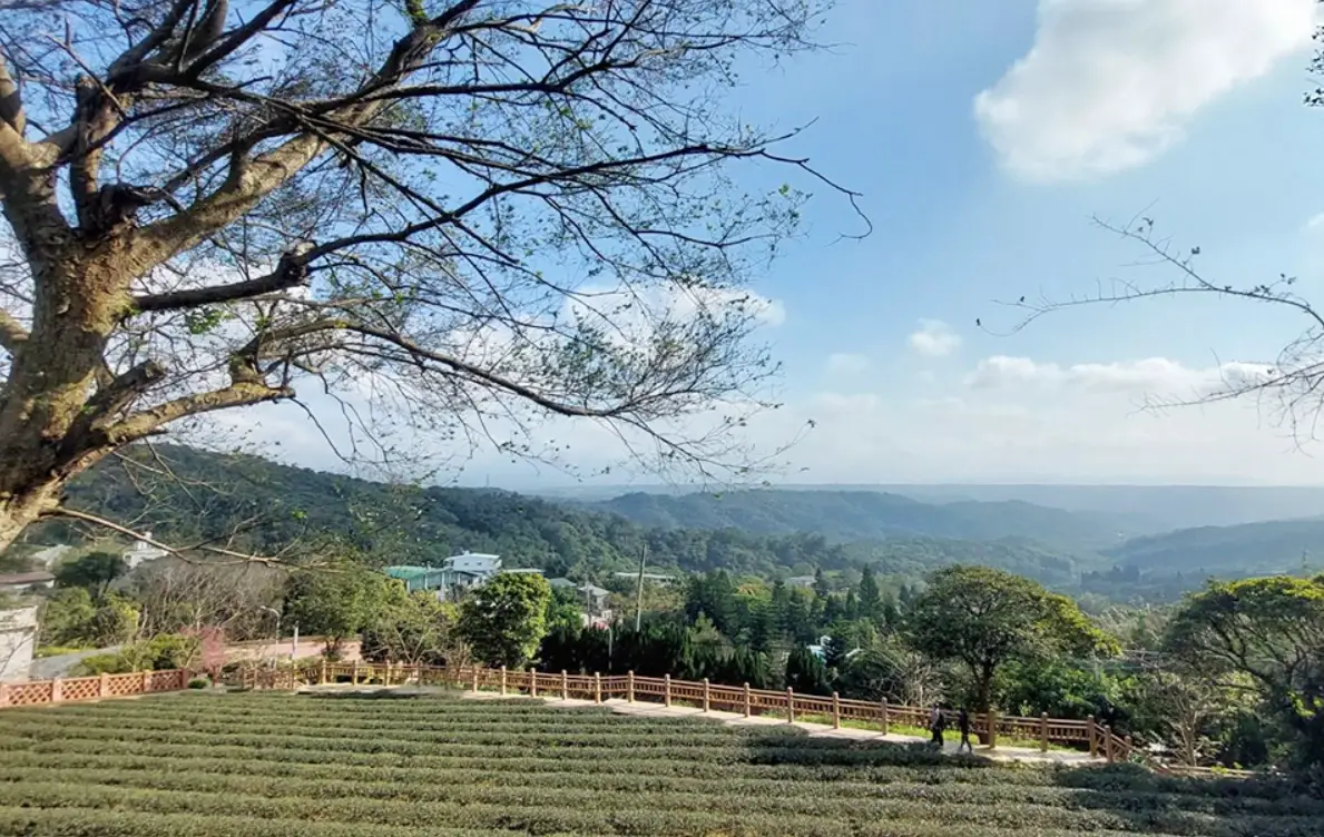 大北坑休閒農業區 一日遊 大北坑休閒農業區 一日遊