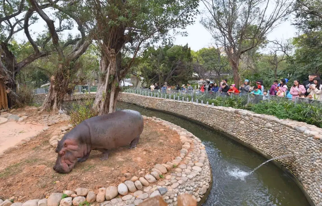 石馬歷史 石馬歷史