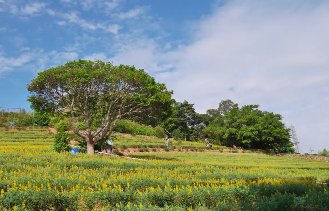 大北坑休閒農業區 一日遊