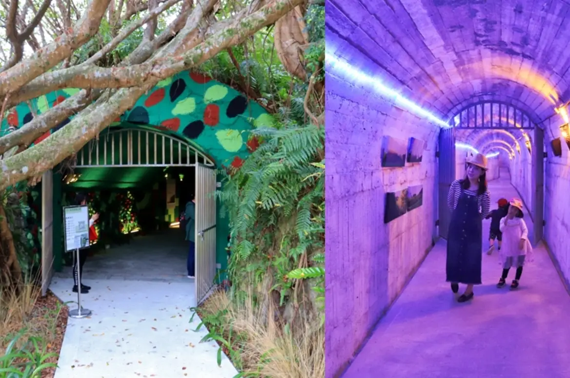 四八高地戰備坑道 歷史