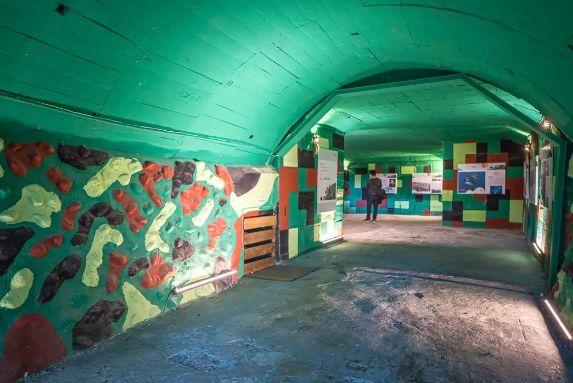 四八高地戰備坑道 門票