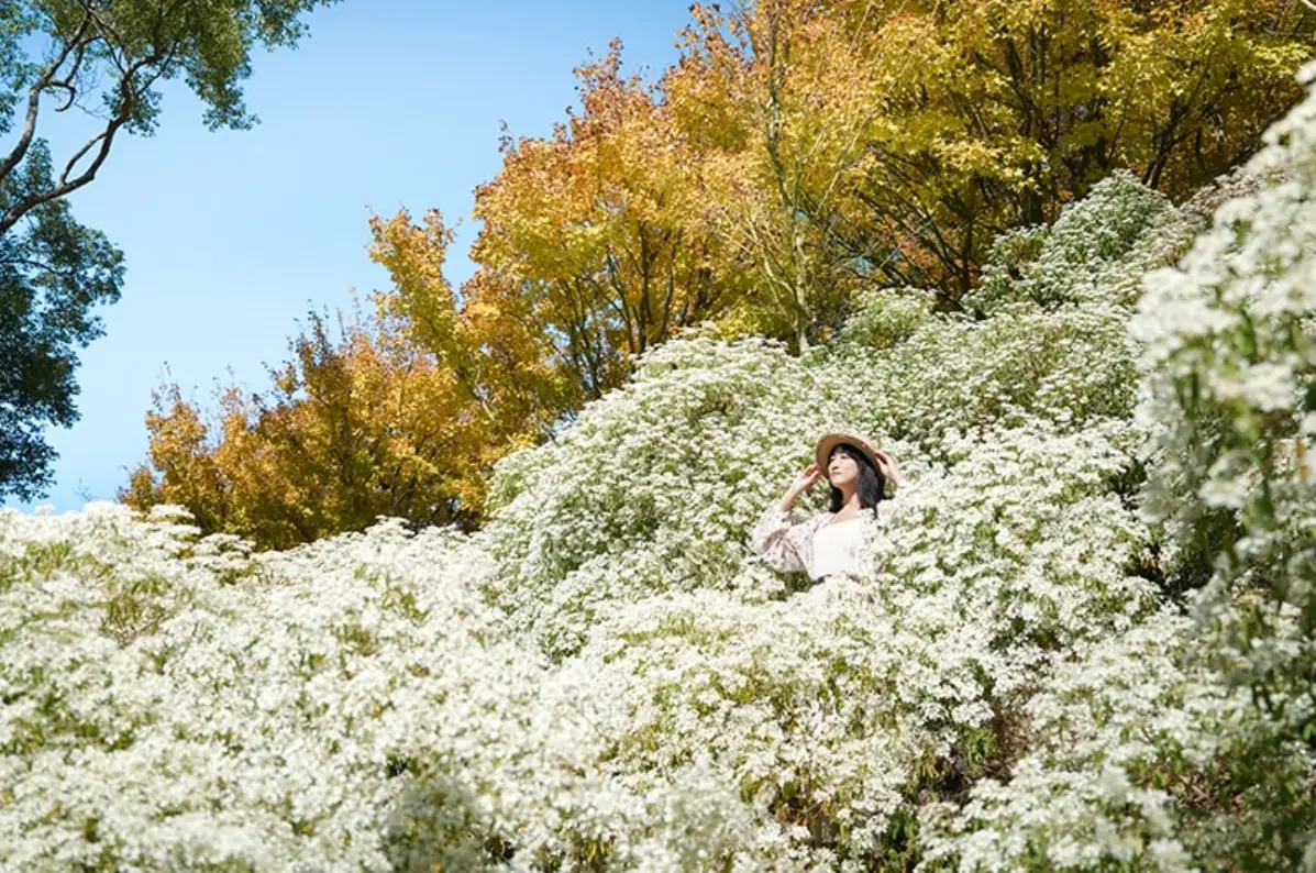 沐心泉休閒農場9月