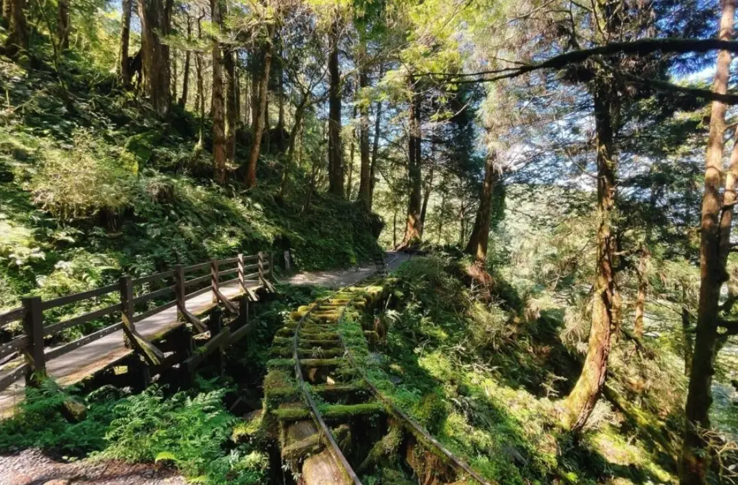 礁溪到太平山 交通時間