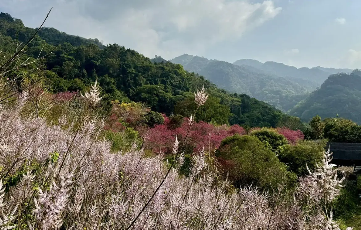 沐心泉休閒農場