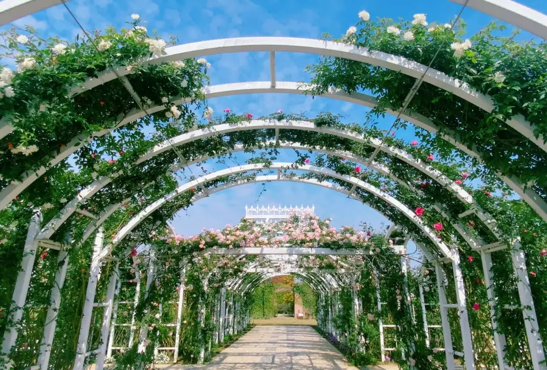 台南觀光工廠 交通方式