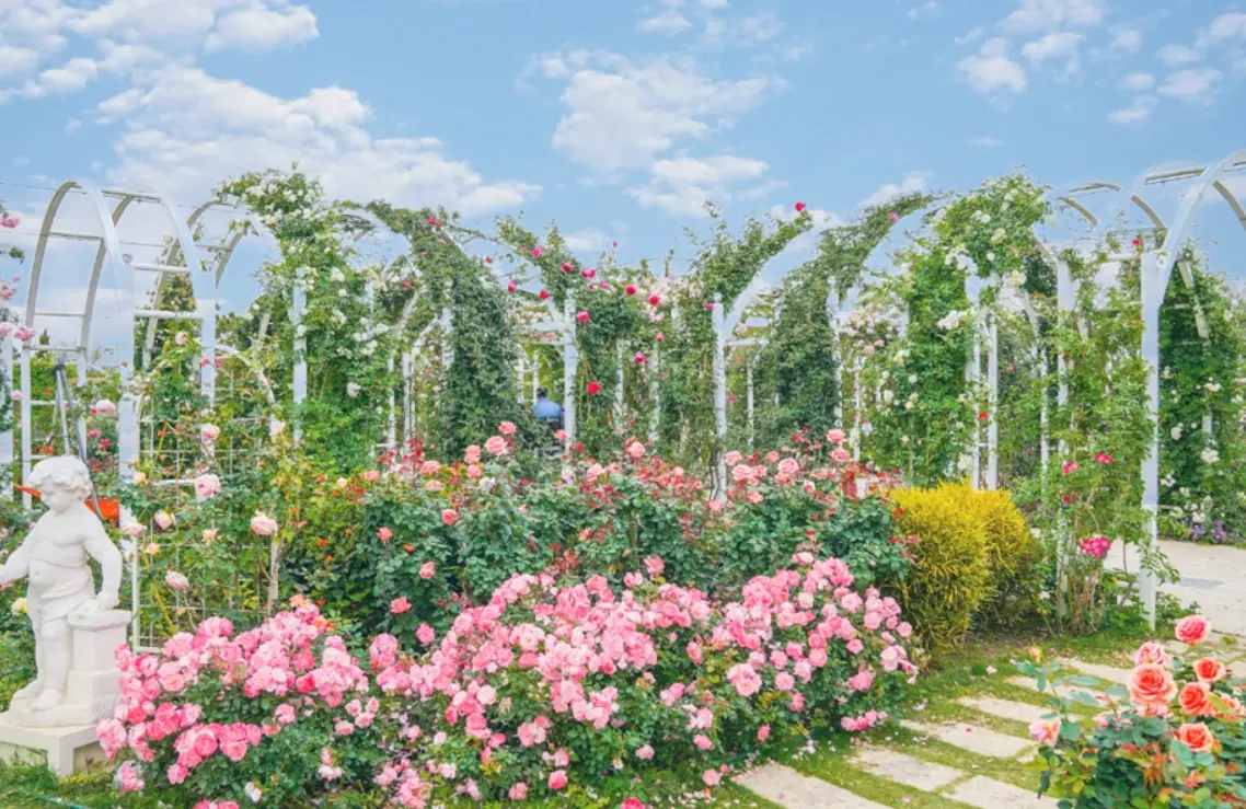 台南觀光工廠 交通方式