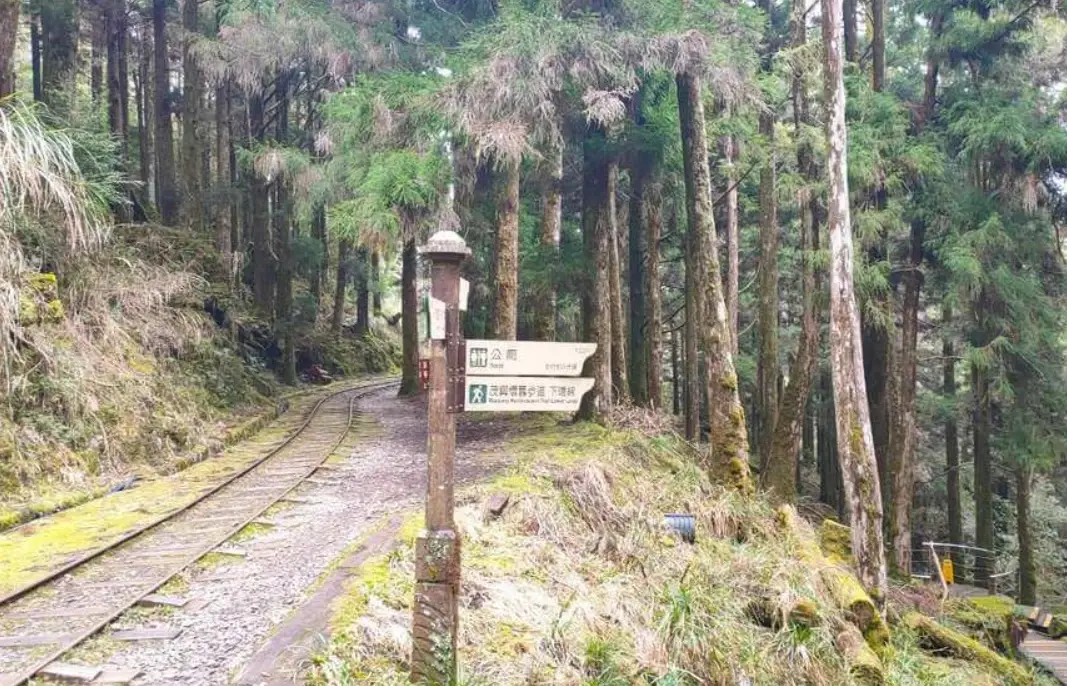 太平山 交通攻略