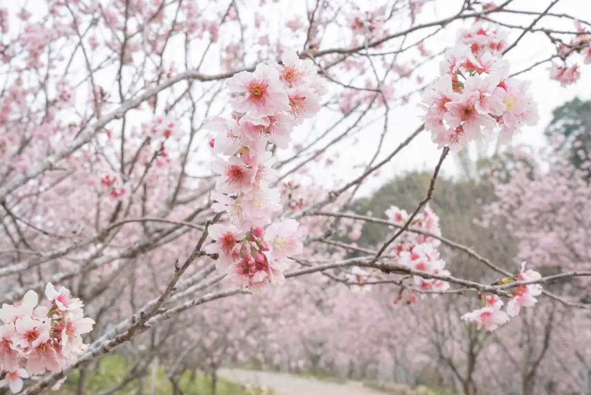 親子旅遊 親子旅遊