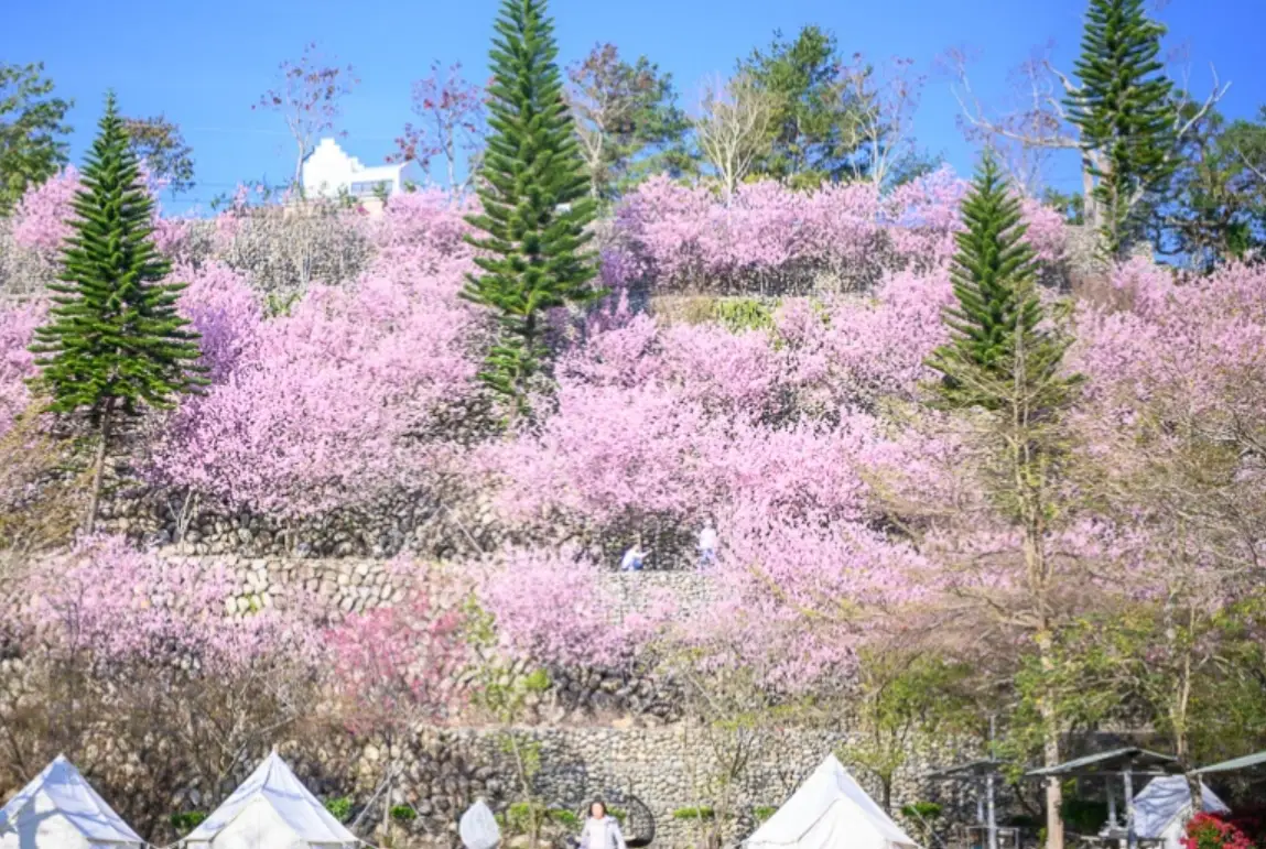 觀鳥地點 觀鳥地點