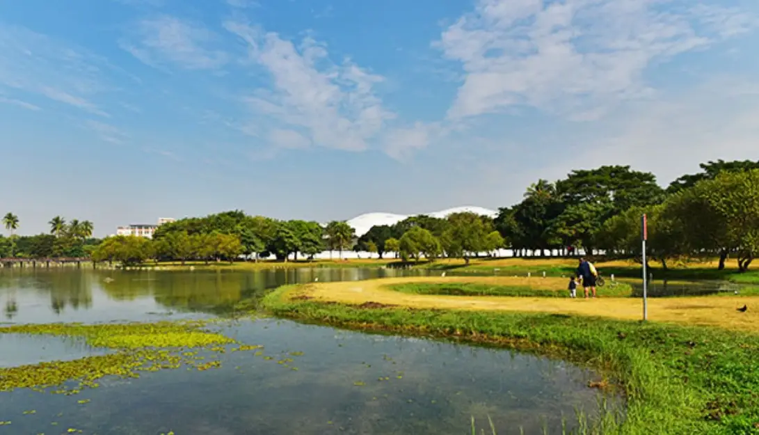 衛武迷迷村彩繪牆 衛武迷迷村彩繪牆