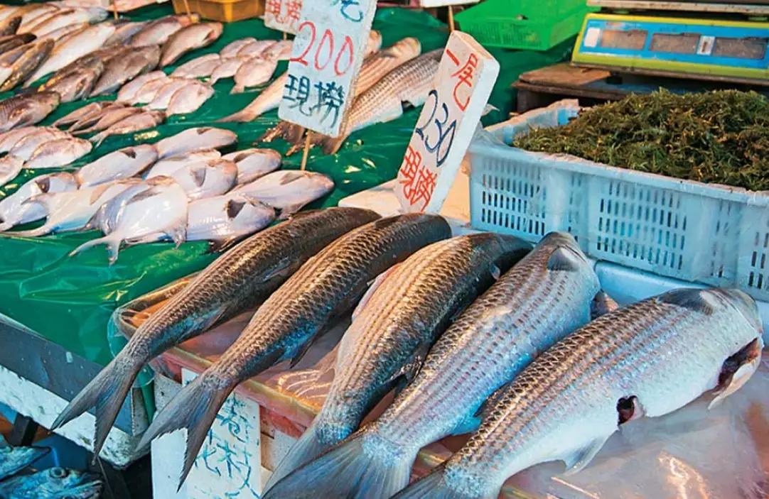 正濱漁港美食 正濱漁港美食
