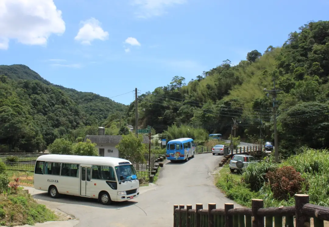 坪林一日遊 坪林一日遊