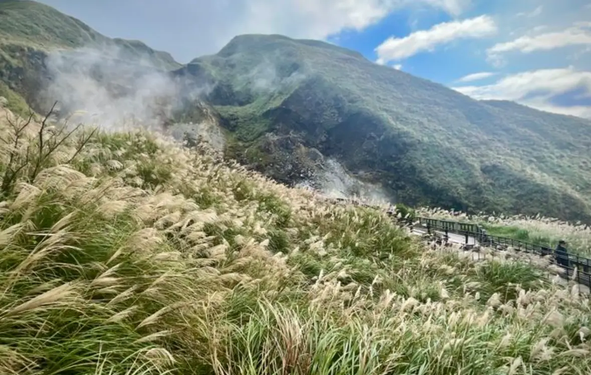 陽明山新手登山