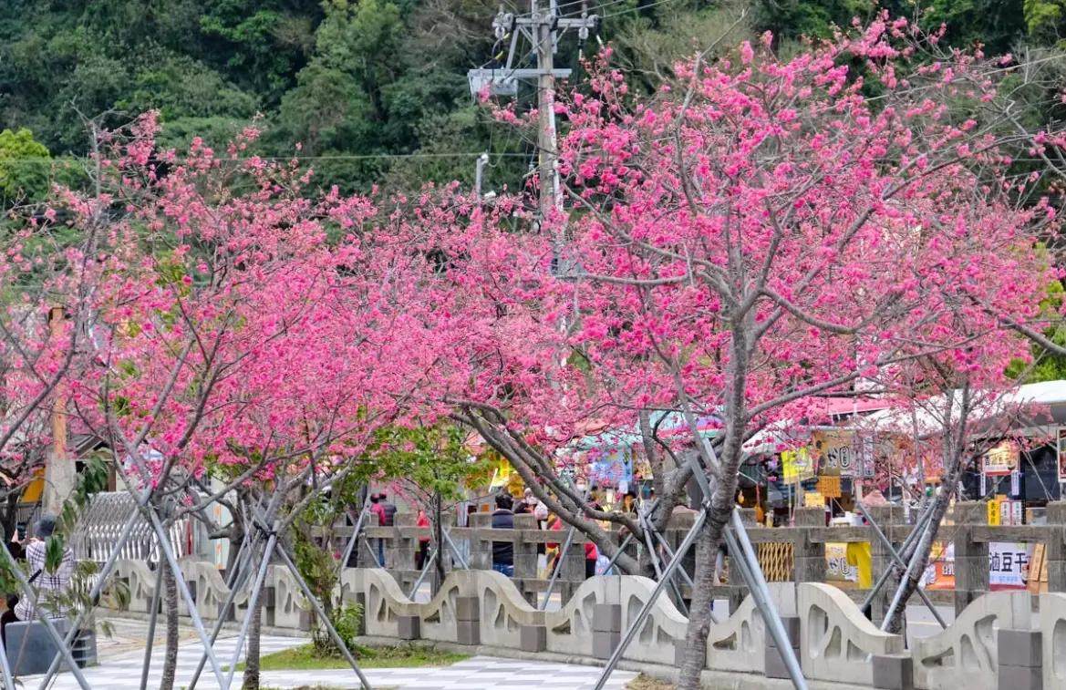 台中后里景點 台中后里景點