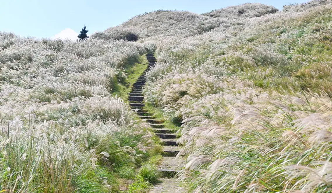 七星山登山路線