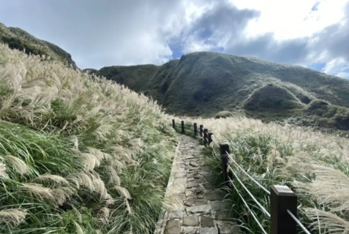 七星山 安全指南