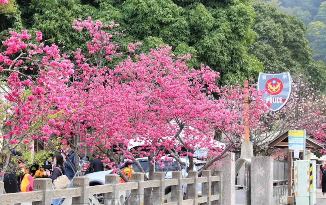 台中后里景點