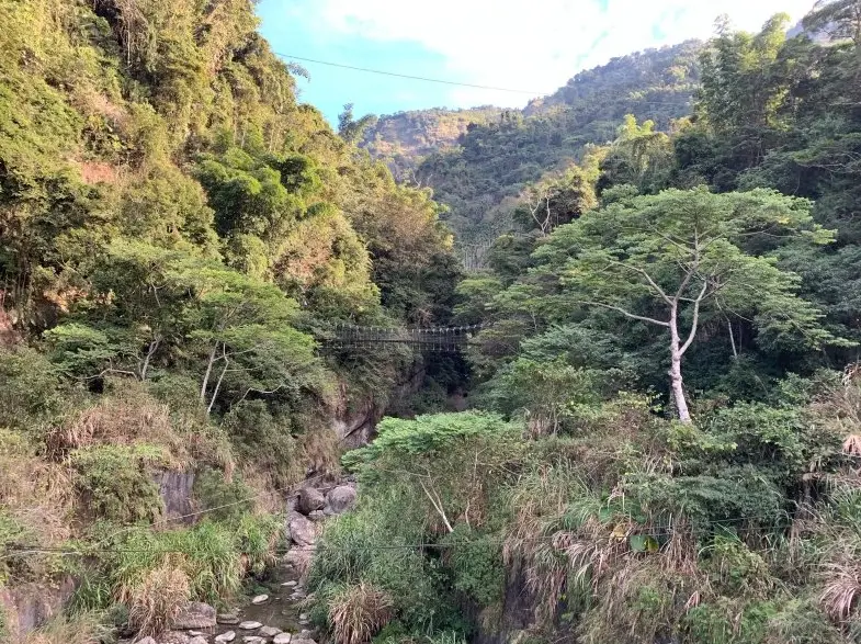雲林古坑景點