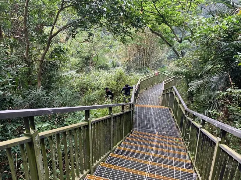 雲林古坑景點