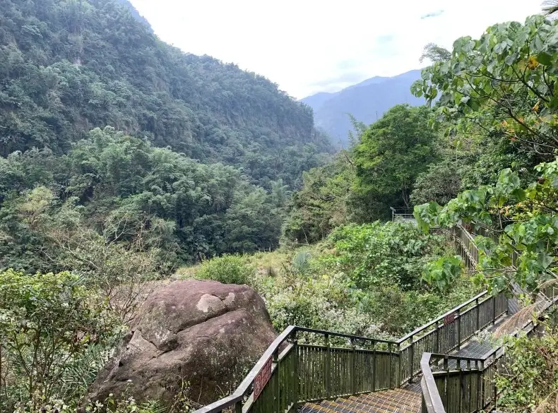 雲林古坑景點