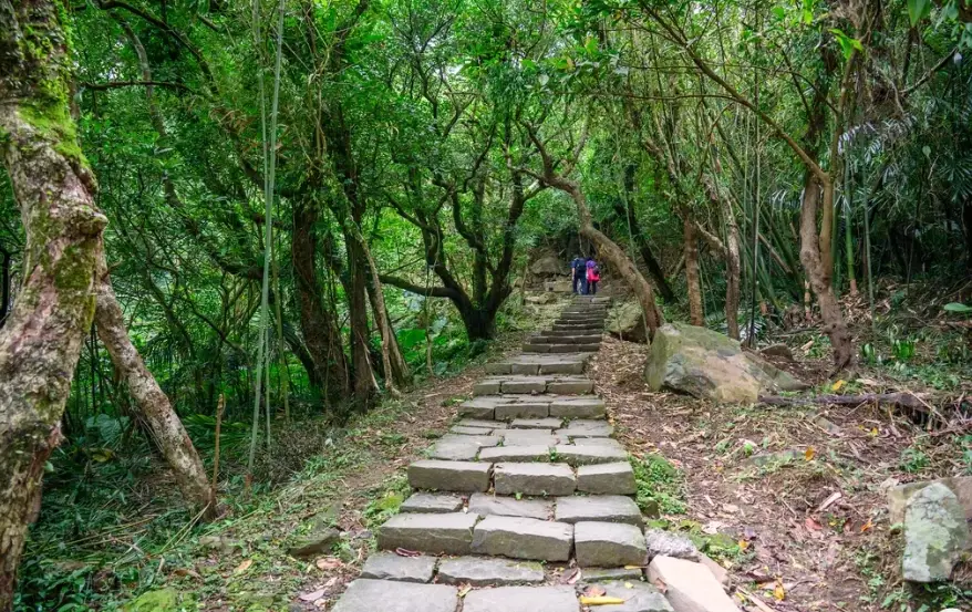 草嶺古道步道