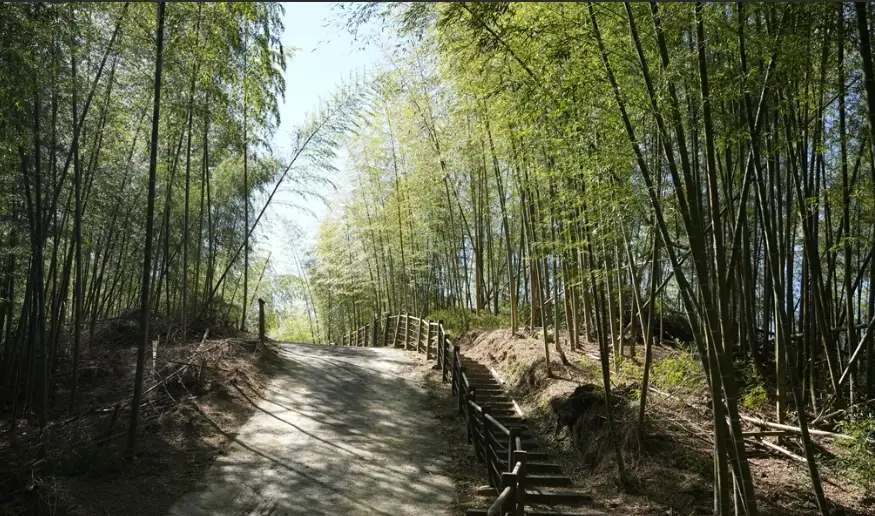 雲林登山步道