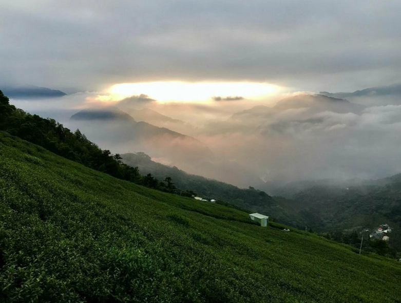 樟湖風景區玩水