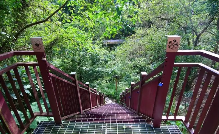草嶺步道推薦