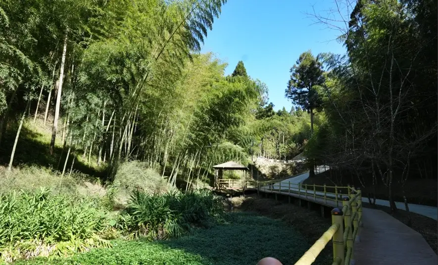 草嶺古道步道
