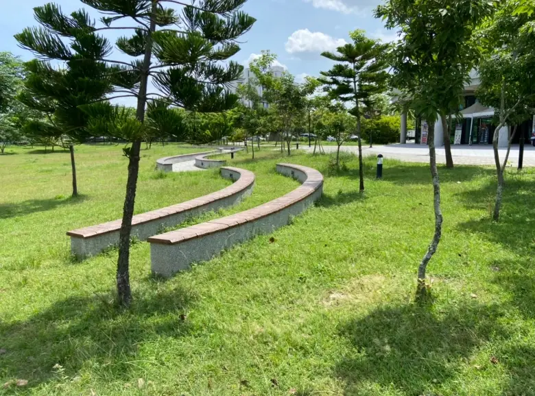 石頭公園 奇石 石頭公園 奇石
