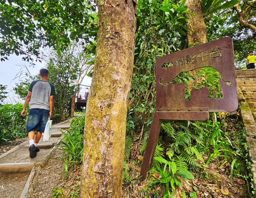 象山夜景觀賞 象山夜景觀賞