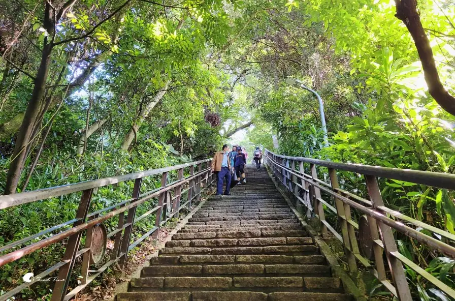 象山親山步道 象山親山步道