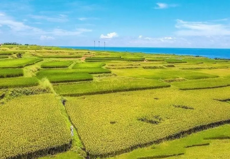 花蓮親子景點