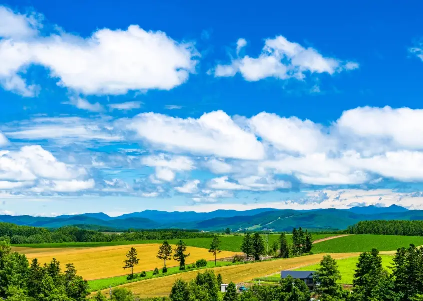 北海道自由行月份