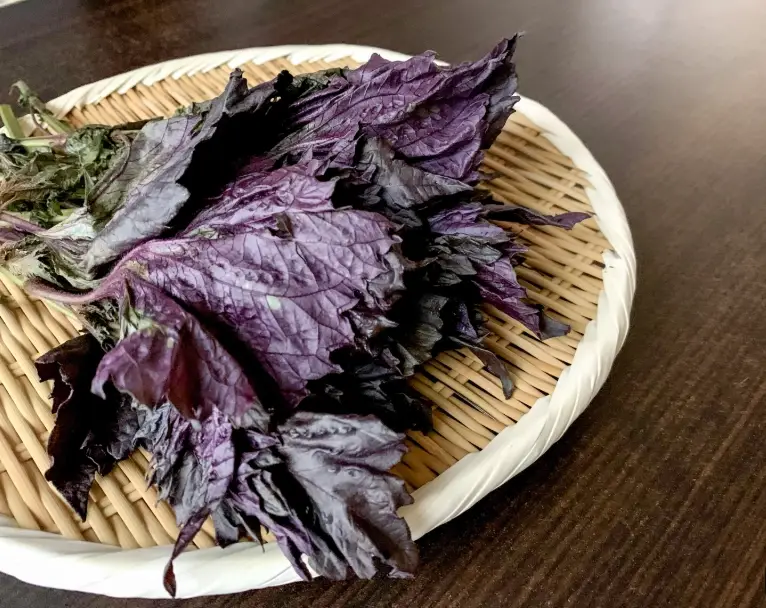 紫蘇葉料理