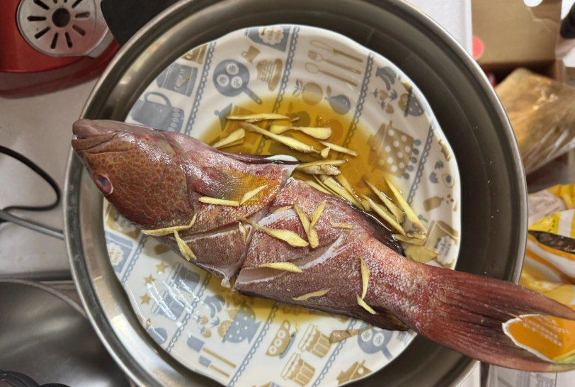 紅條魚