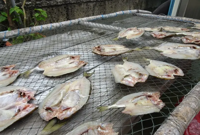 烏魚子挑選