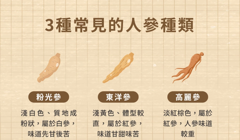 花旗參功效 花旗參功效