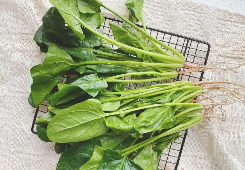 菠菜豆腐可以一起吃嗎